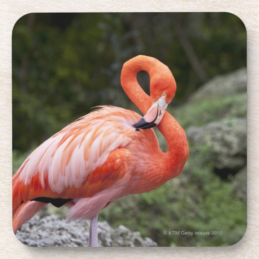 Roze Flamingo Onderzetter (Voorkant)