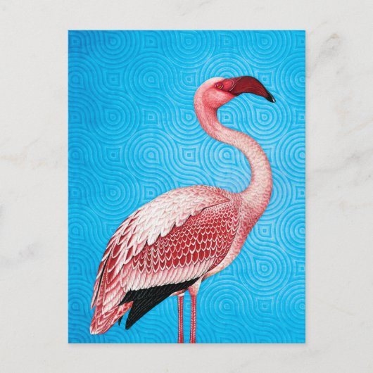 Roze Flamingo op Retro Blue Pattern Briefkaart (Voorkant)