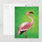 Roze Flamingo op Retro Green Pattern Briefkaart (Voorkant / Achterkant)