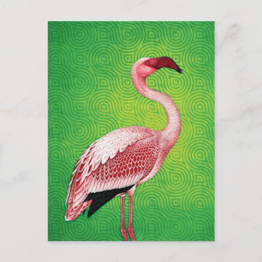 Roze Flamingo op Retro Green Pattern Briefkaart (Voorkant)