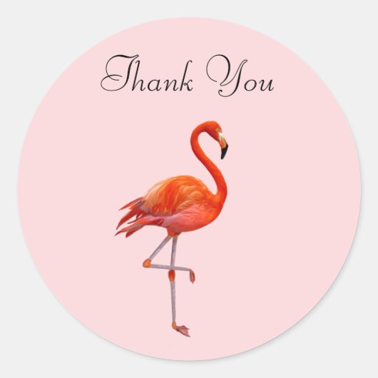 Roze Flamingo op Roze Dank Je Ronde Sticker (Voorkant)