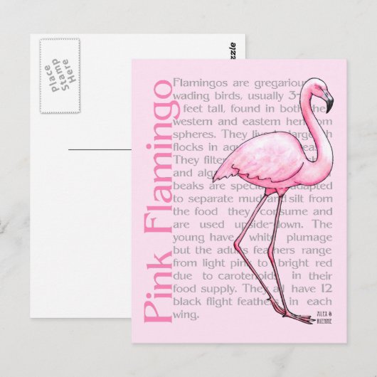 Roze flamingo op tekst briefkaart (Voorkant / Achterkant)