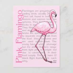 Roze flamingo op tekst briefkaart