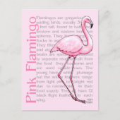 Roze flamingo op tekst briefkaart (Voorkant)