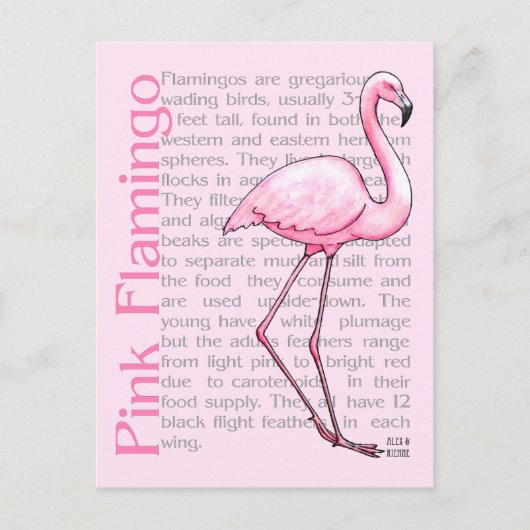 Roze flamingo op tekst briefkaart (Voorkant)