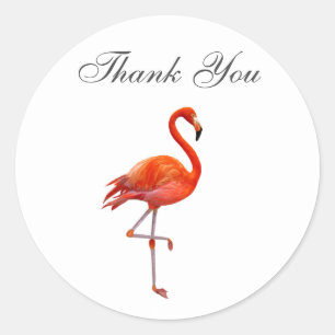 Roze Flamingo op Witte Achtergrond Dank u Ronde Sticker
