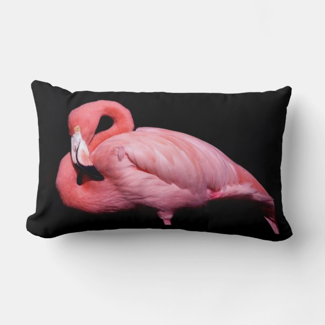Roze Flamingo op zwart Kussen (Voorkant)