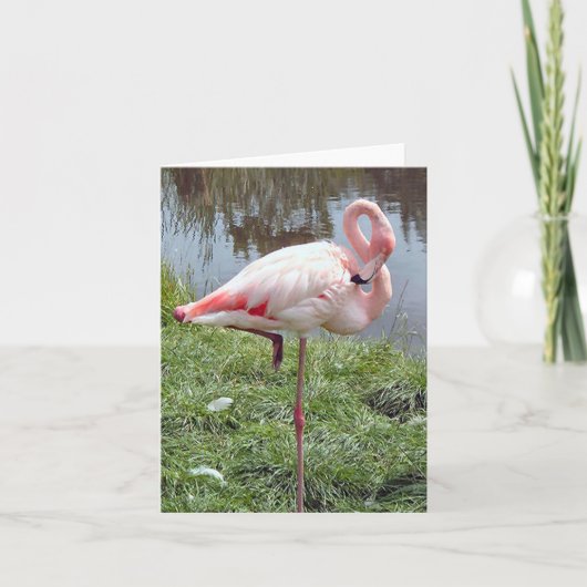 Roze Flamingo Photo Folded Note Kaart (Voorkant)