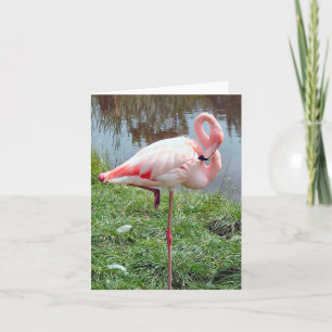 Roze Flamingo Photo Folded Note Kaart
