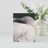 Roze Flamingo Portret Tekeneffect Kunst Briefkaart (Staand voorkant)
