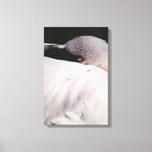 Roze Flamingo Portret Tekeneffect Kunst Canvas Afdruk (Voorkant)