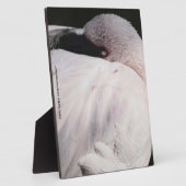 Roze Flamingo Portret Tekeneffect Kunst Fotoplaat (Zijkant)