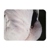 Roze Flamingo Portret Tekeneffect Kunst Magneet (Horizontaal)