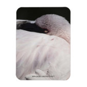 Roze Flamingo Portret Tekeneffect Kunst Magneet (Verticaal)
