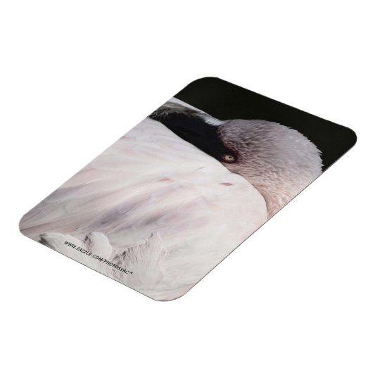 Roze Flamingo Portret Tekeneffect Kunst Magneet (Linkerzijde)