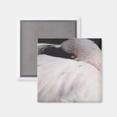 Roze Flamingo Portret Tekeneffect Kunst Magneet (Voorkant / Achterkant)