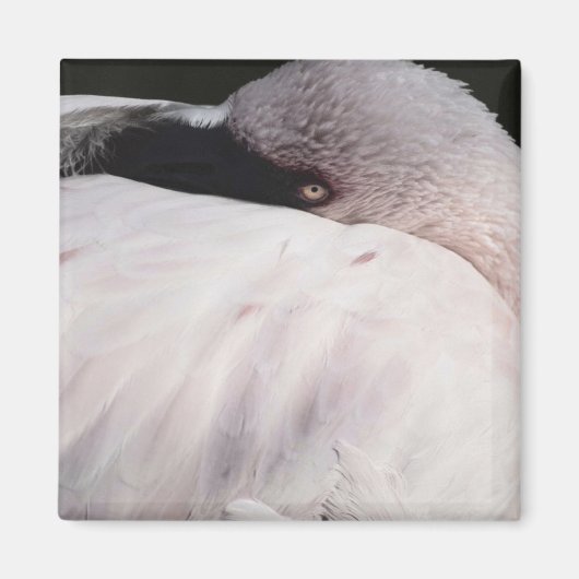 Roze Flamingo Portret Tekeneffect Kunst Magneet (Voorkant)