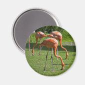 Roze Flamingo Portret Tekeneffect Kunst Magneet (Voorkant / Achterkant)