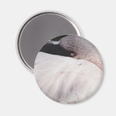 Roze Flamingo Portret Tekeneffect Kunst Magneet (Voorkant / Achterkant)