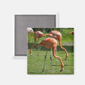 Roze Flamingo Portret Tekeneffect Kunst Magneet (Voorkant / Achterkant)