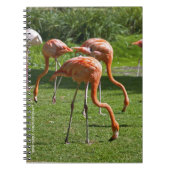 Roze Flamingo Portret Tekeneffect Kunst Notitieboek (Voorkant)
