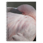 Roze Flamingo Portret Tekeneffect Kunst Notitieboek (Voorkant)