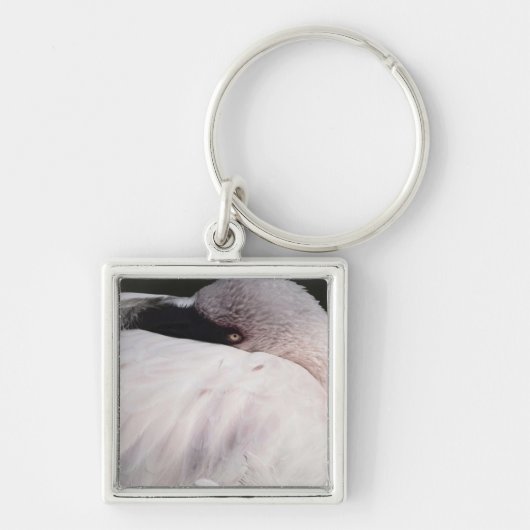 Roze Flamingo Portret Tekeneffect Kunst Sleutelhanger (Voorkant)