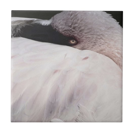 Roze Flamingo Portret Tekeneffect Kunst Tegeltje (Voorkant)