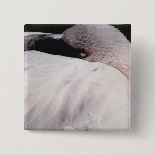 Roze Flamingo Portret Tekeneffect Kunst Vierkante Button 5,1 Cm (Voorkant)