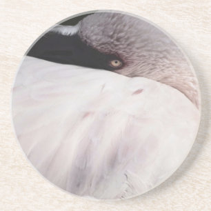 Roze Flamingo Portret Tekeneffect Kunst Zandsteen Onderzetter