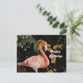 Roze Flamingo Portret Wilde Dieren Foto Verjaardag Briefkaart (Staand voorkant)
