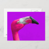 Roze Flamingo Post Card, Paarse achtergrond Briefkaart (Voorkant / Achterkant)