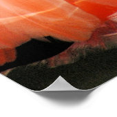 Roze Flamingo Poster (Hoek)