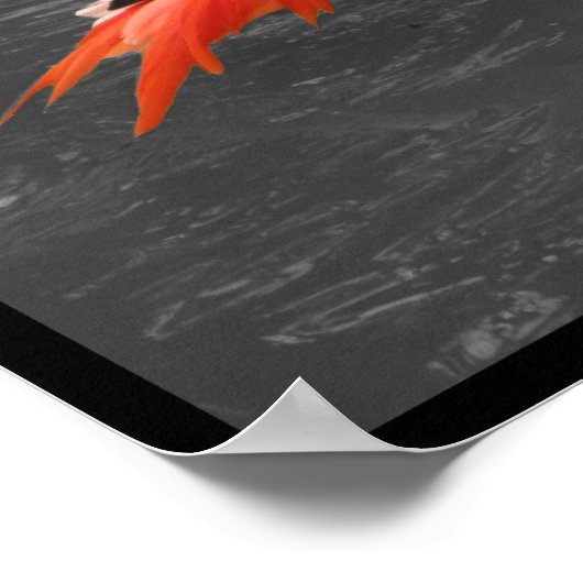 Roze Flamingo Poster (Hoek)