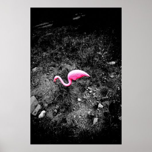 roze flamingo poster (Voorkant)