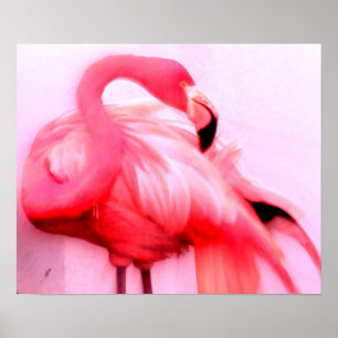 Roze Flamingo Poster