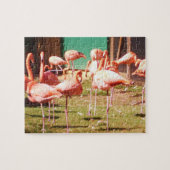 Roze Flamingo Puzzle Legpuzzel (Horizontaal)