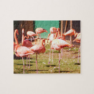 Roze Flamingo Puzzle Legpuzzel