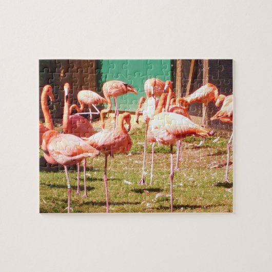 Roze Flamingo Puzzle Legpuzzel (Horizontaal)
