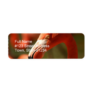 Roze Flamingo Return Address Label