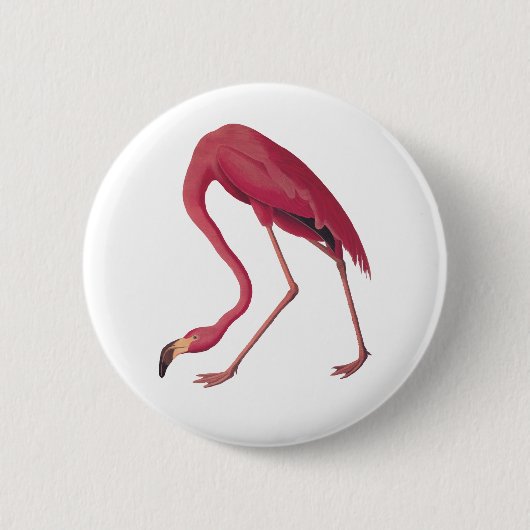 Roze Flamingo Ronde Button 5,7 Cm (Voorkant)