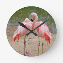 roze flamingo