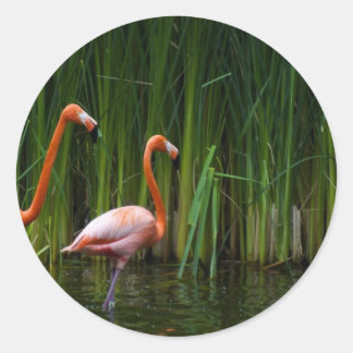 ROZE FLAMINGO RONDE STICKER