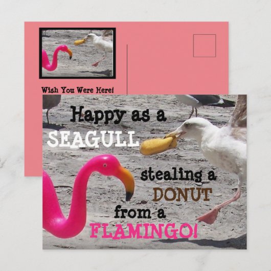 Roze Flamingo Seagull Donut Beach Humor Briefkaart (Voorkant / Achterkant)