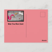 Roze Flamingo Seagull Donut Beach Humor Briefkaart (Achterkant)