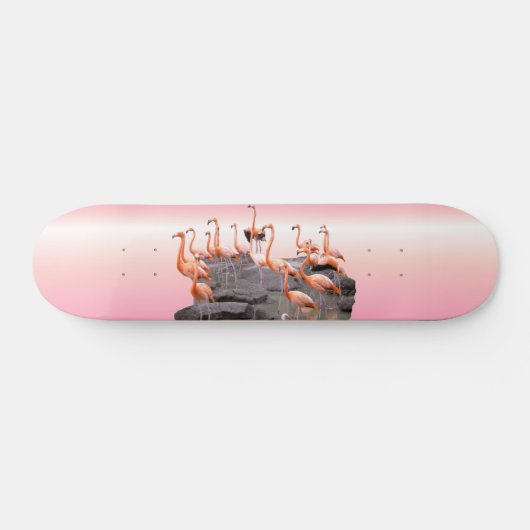 Roze Flamingo Skateboard (Horizontaal)