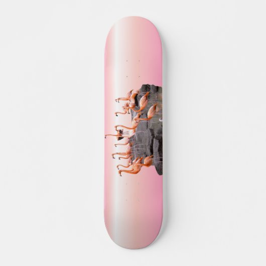 Roze Flamingo Skateboard (Voorkant)