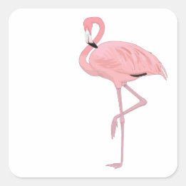 Roze Flamingo Staand Op Eén Been Vierkante Sticker