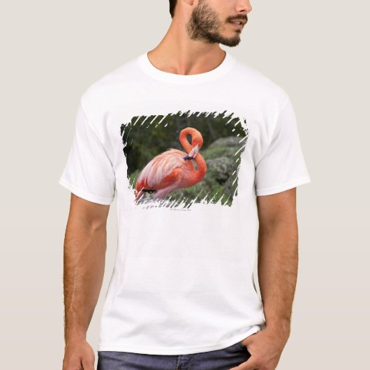 Roze Flamingo T-shirt (Voorkant)
