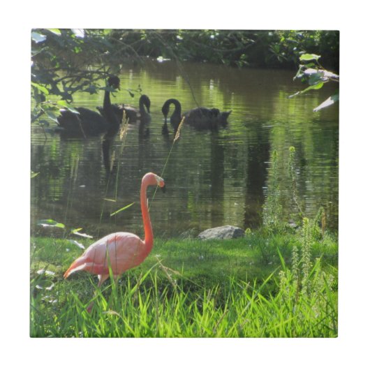Roze Flamingo Tegeltje (Voorkant)